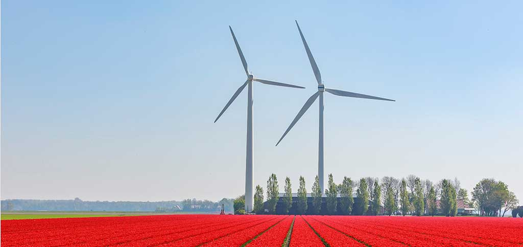 Cyso Nederlandse cloud favoriet